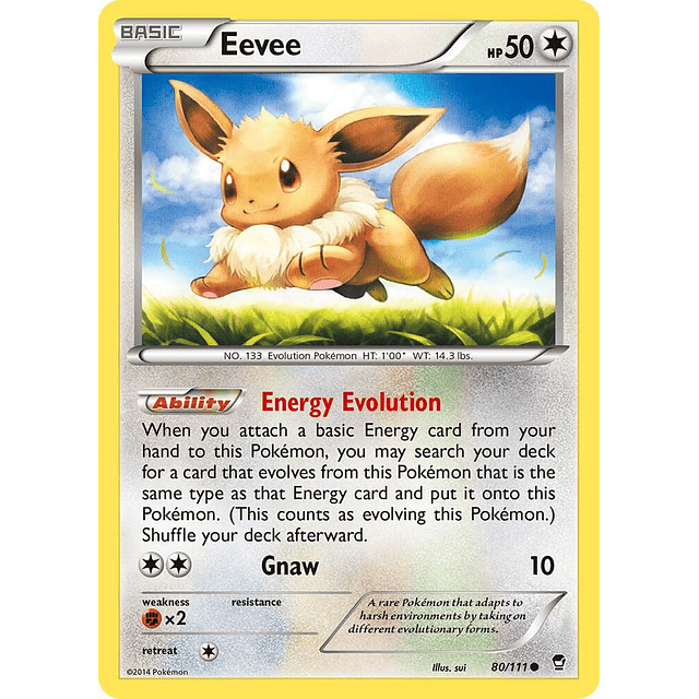 Eevee - XY - Furious Fists