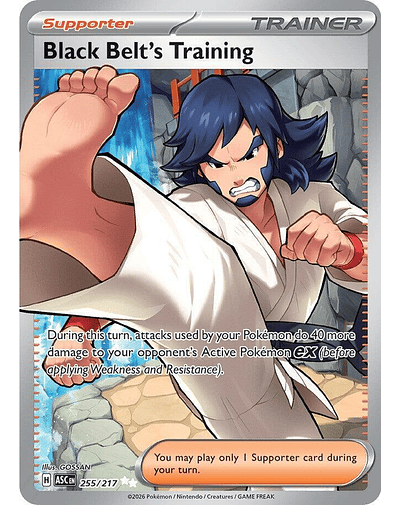 Black Belt's Training - 255/217