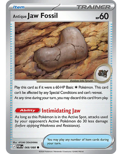 Antique Jaw Fossil 068/088