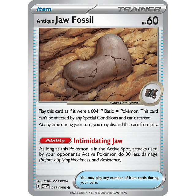 Antique Jaw Fossil 068/088