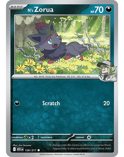 N's Zorua