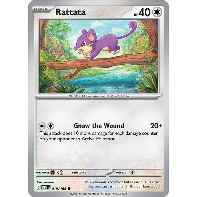 Rattata 19/165
