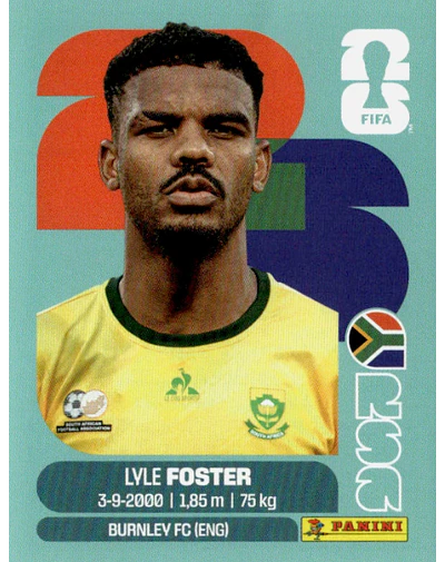 RSA 17