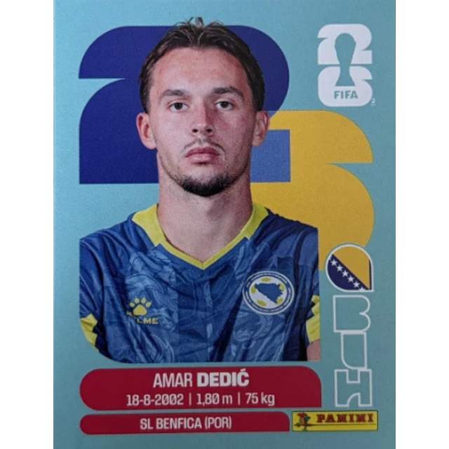 BIH 3