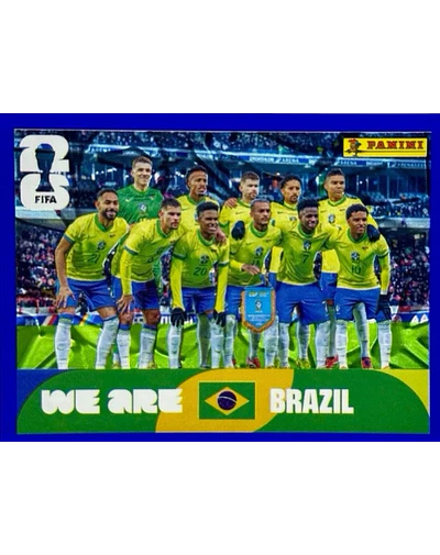 BRA 13