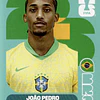 BRA 16 3