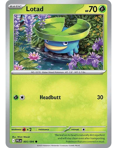 Lotad 005/094