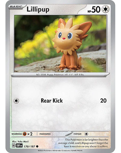 Lillipup 170/197