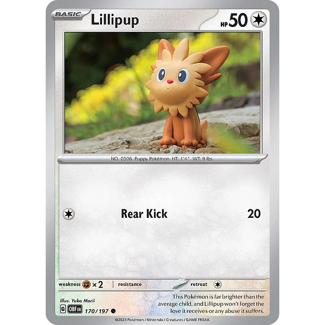 Lillipup 170/197