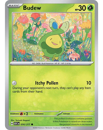 Budew - 016/217