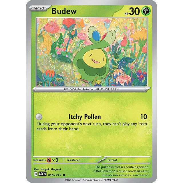 Budew - 016/217