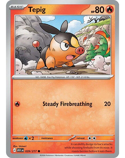 Tepig 029/217