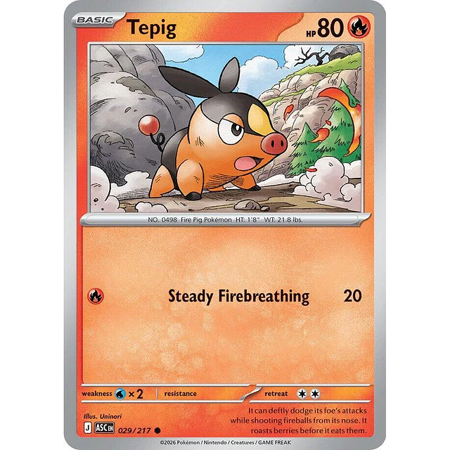 Tepig 029/217