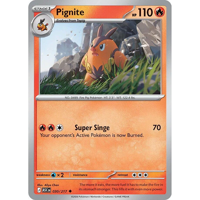 Pignite 030/217