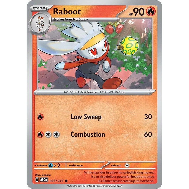 Raboot 037/217