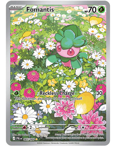 Fomantis - 085/084 