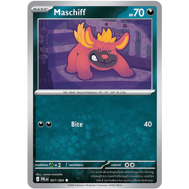 Maschiff 057/084 1