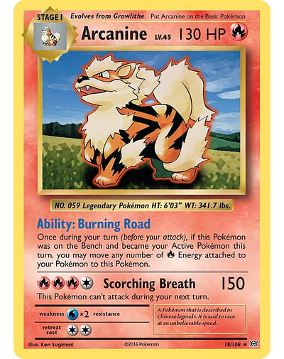 Arcanine - XY 