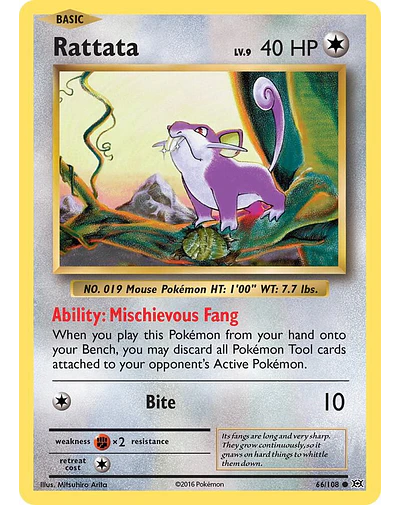 Rattata - XY