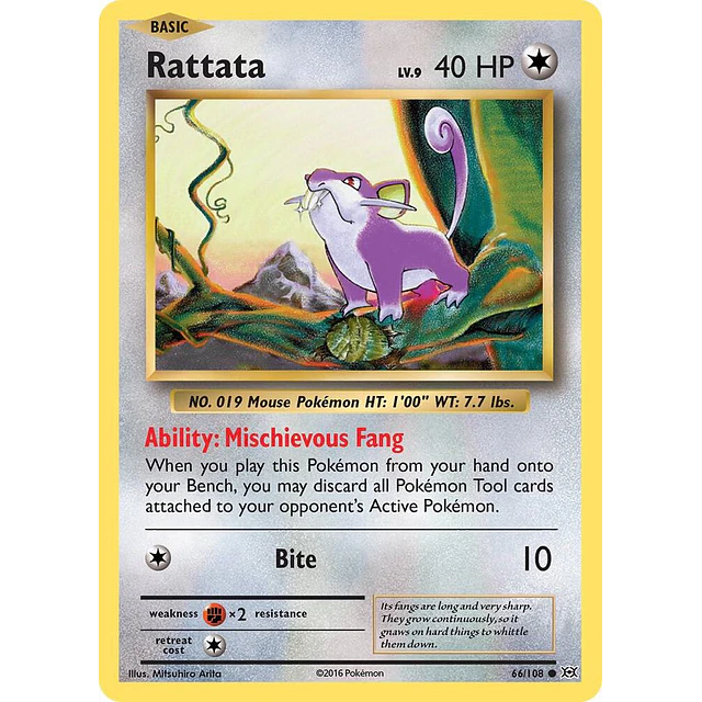 Rattata - XY