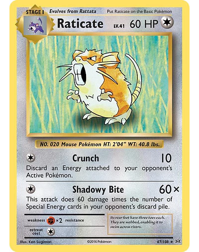 Raticate - XY