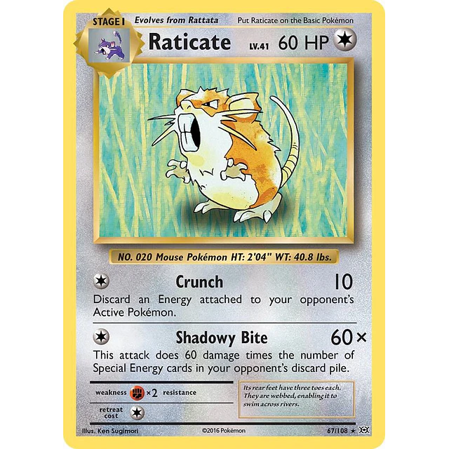 Raticate - XY