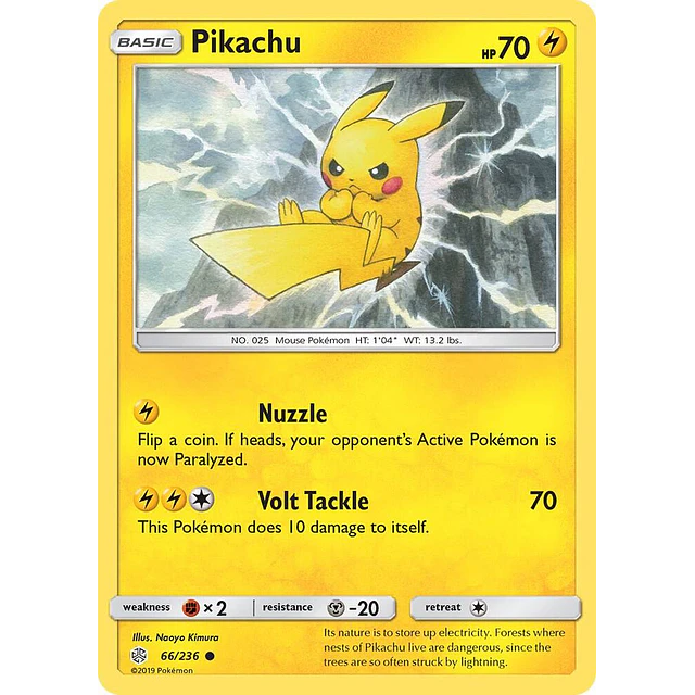 Pikachu (66)