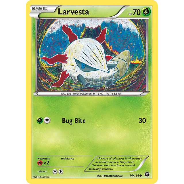Larvesta 14/114