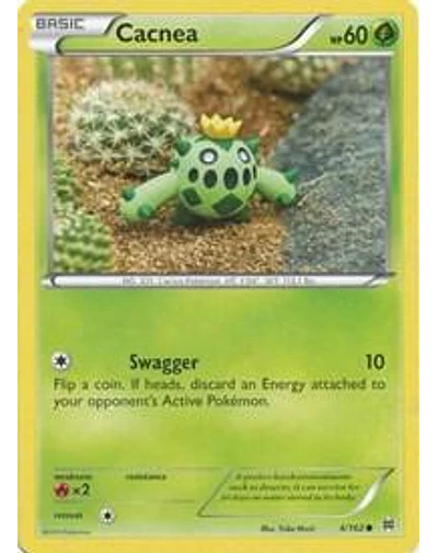 Cacnea 4/162