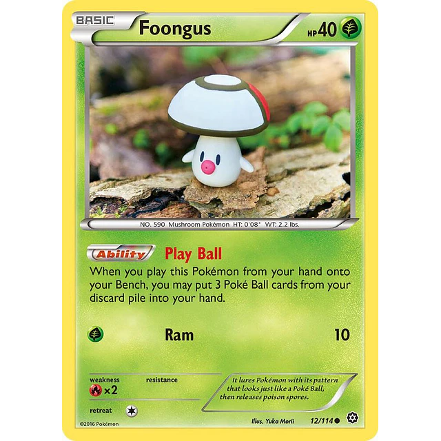 Foongus 12/114