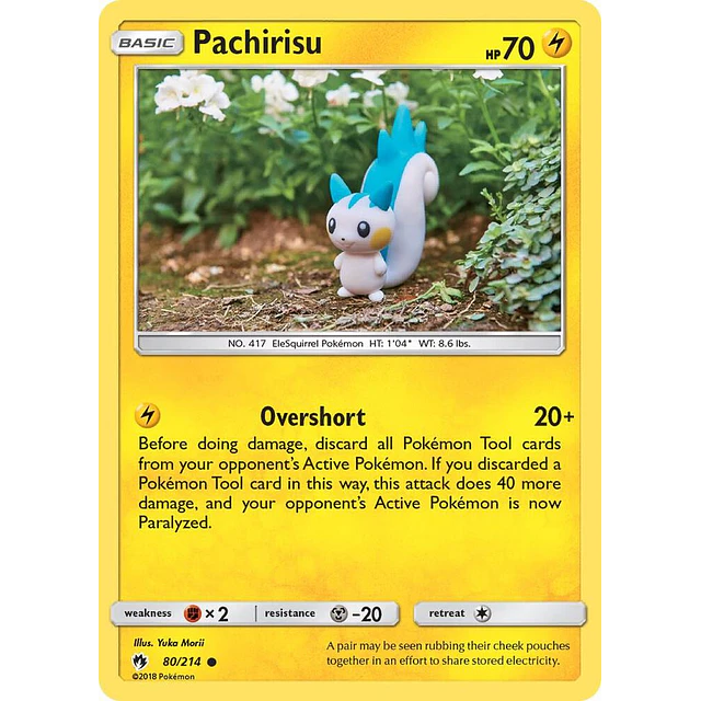 Pachirisu 80/214