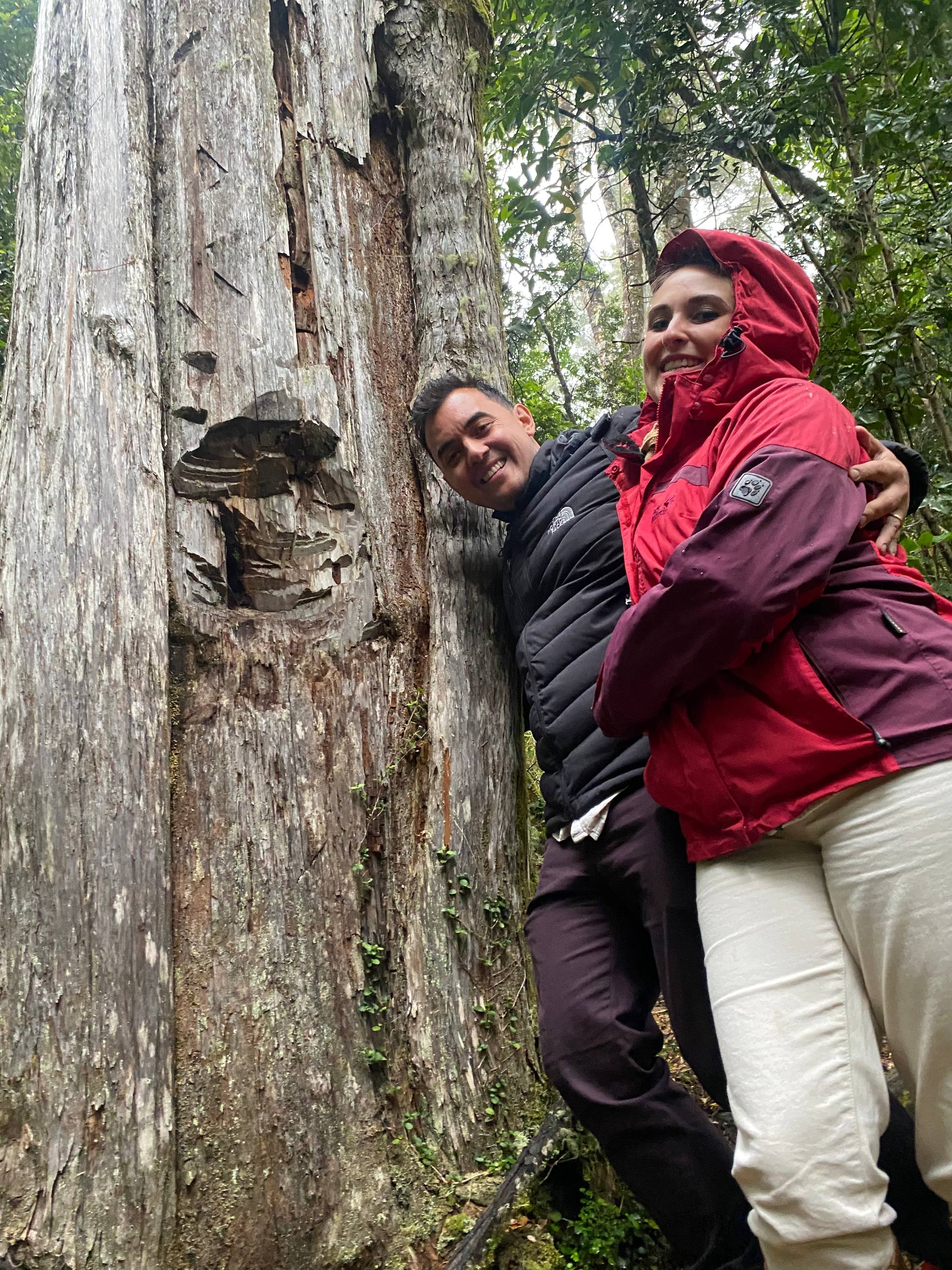 ¿Por qué Ruta Alerce?