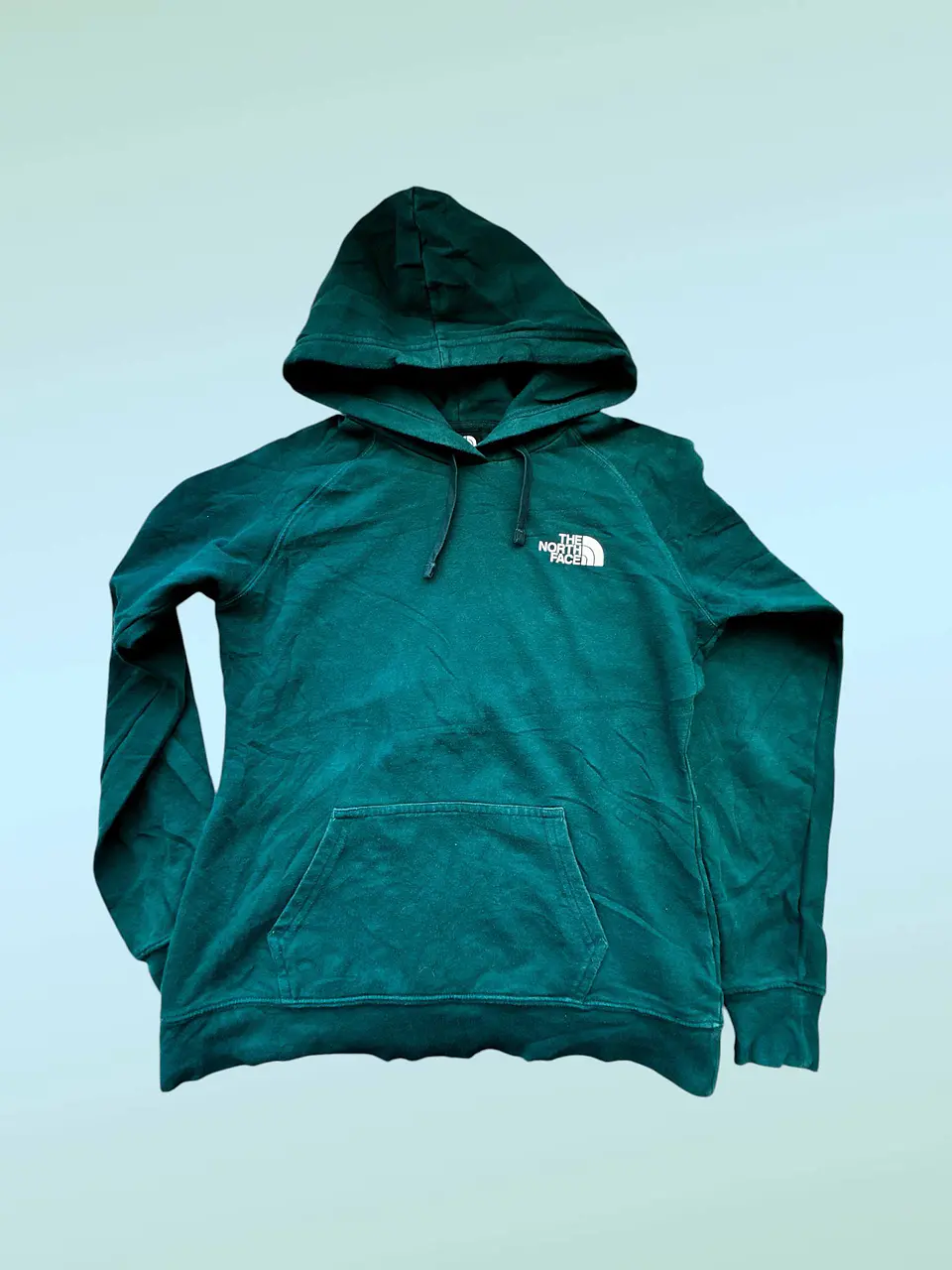 The North Face | Poleron Hoodie Mujer | Talla S 1