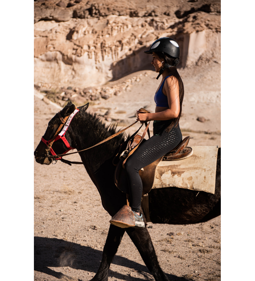 Santa Rosa Petroglyphs Horseback Riding