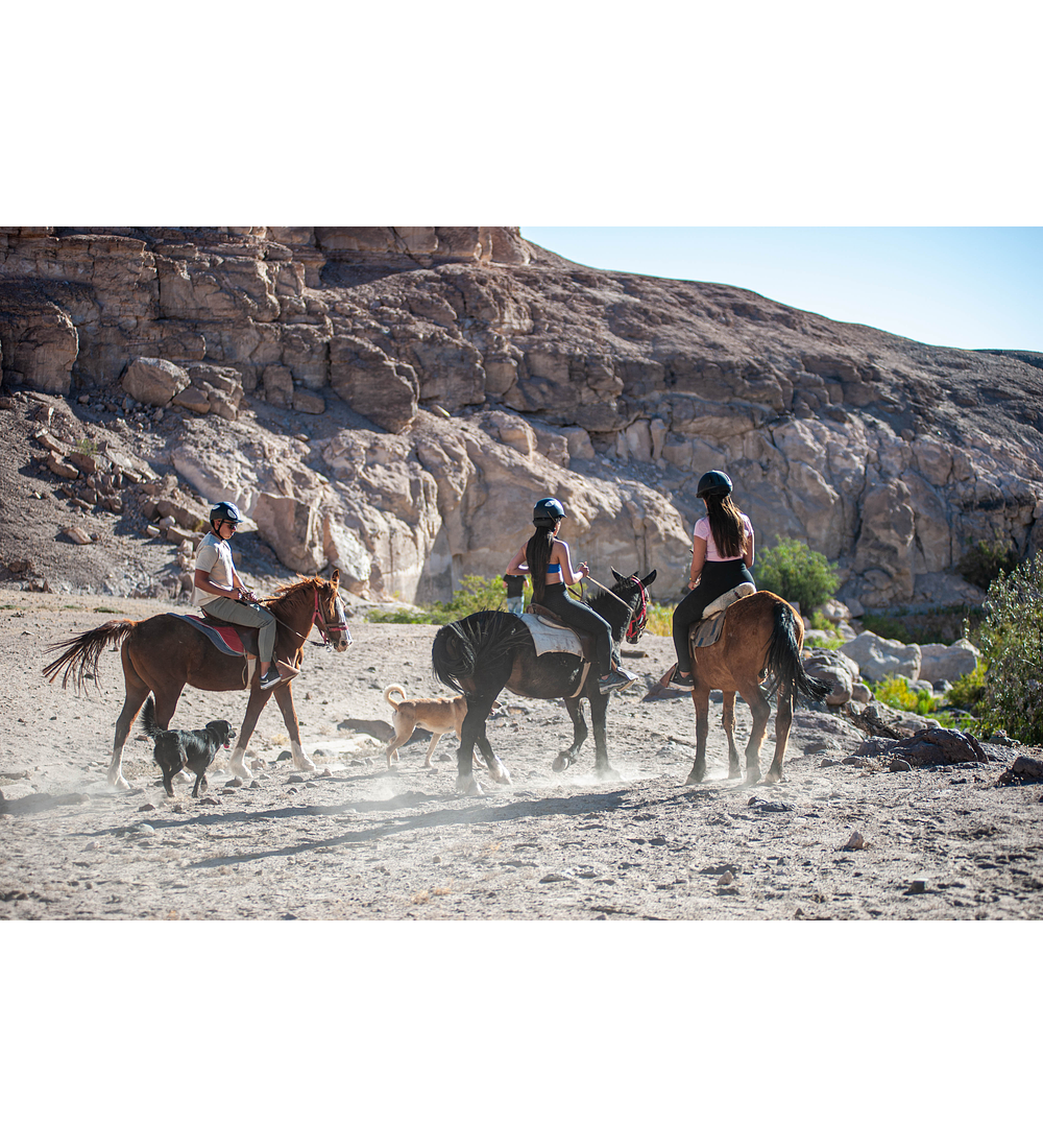 Quebrada Pulanca Horseback Riding