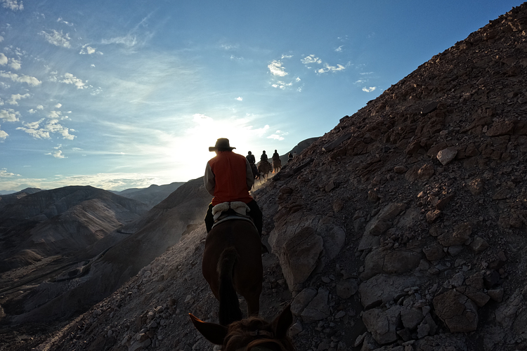 Cabalgatas en el desierto: rescatando rutas patrimoniales del desierto de Tarapacá. By El Clarín De Chile