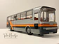 Bus Mercedes-Benz O 303 RHD | Conrad Modelle 1:40 -  West Germany | Bus interurbano clásico alemán de colección - Miniatura 20