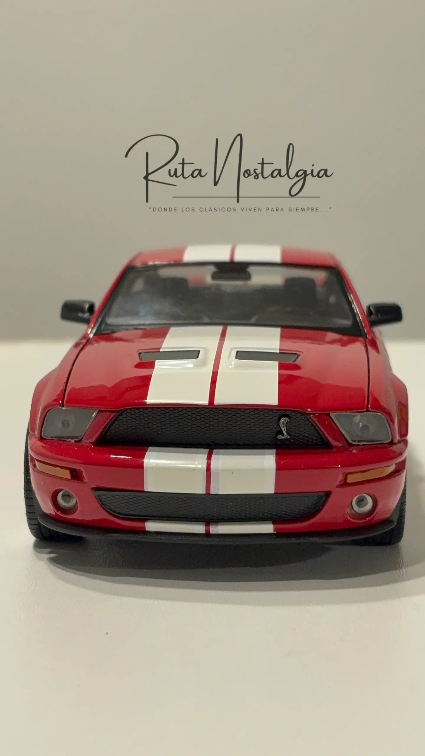 Auto Shelby Cobra GT500 (2007) | Welly Escala 1:24 11
