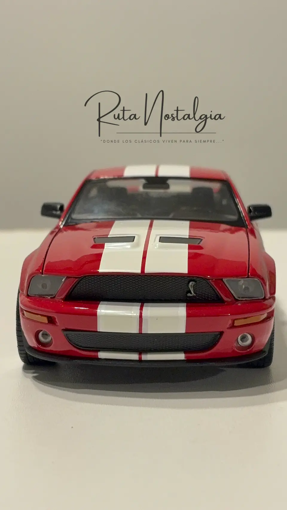 Auto Shelby Cobra GT500 (2007) | Welly Escala 1:24 11