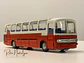 Bus Mercedes-Benz O 302 | Tekno 1:60 Coleccionable - Miniatura 12