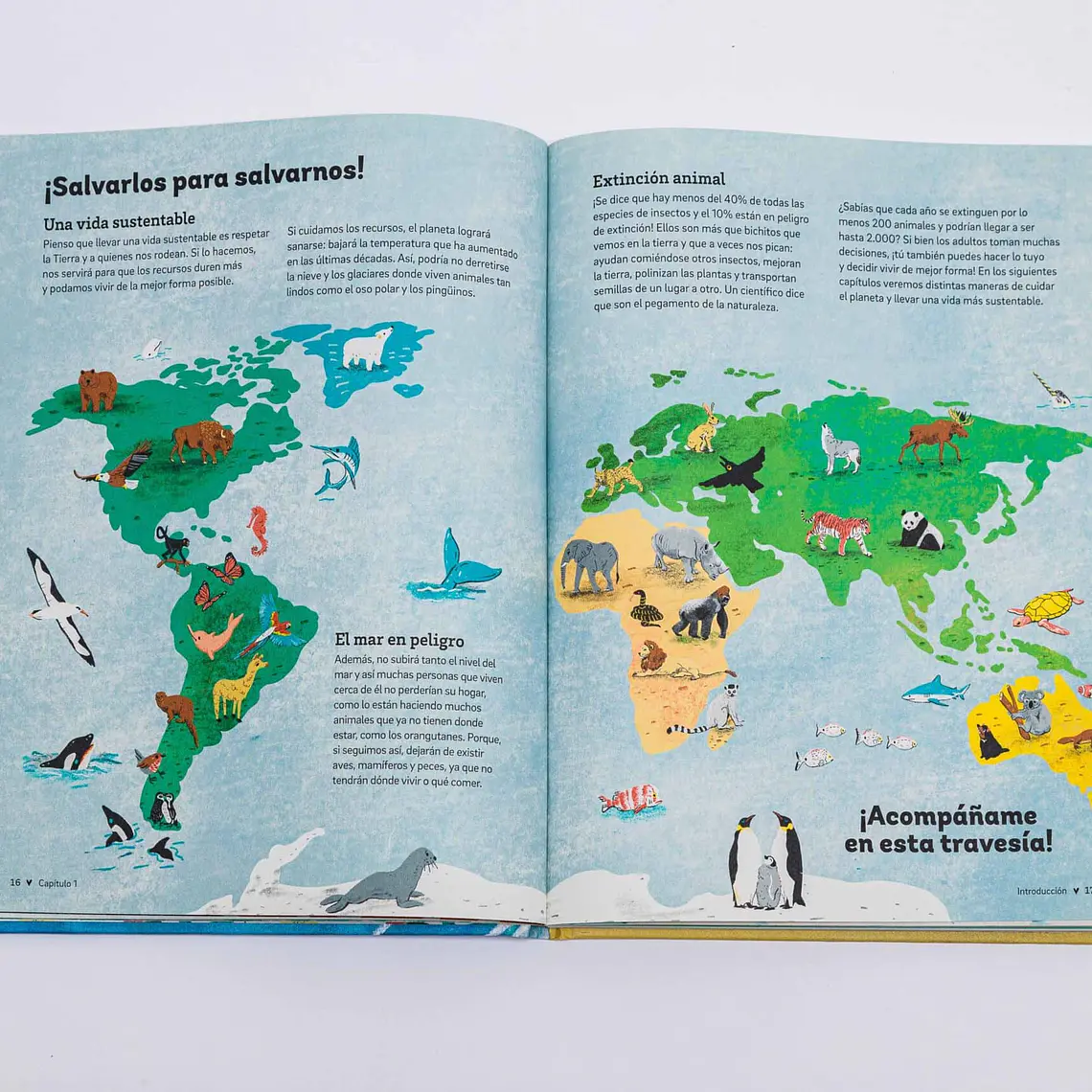 Libro Yo, sustentable 3