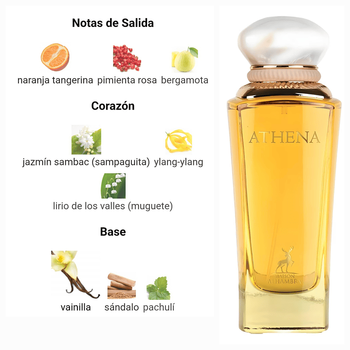 Pack Navideño Mujer / 4 decants 10ml cada uno 5