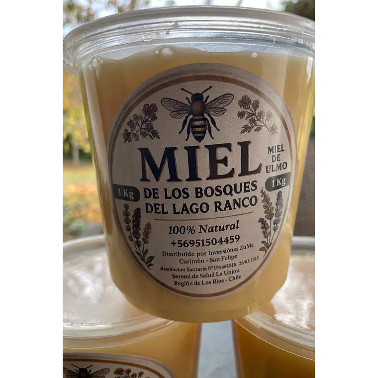 Miel Bosques del Lago Ranco 1