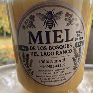 Miel Bosques del Lago Ranco