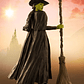 (Pre-Venta) Elphaba S.H. Figuarts - Wicked - Miniatura 2