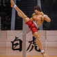 (Stock) Baki Storm Arena - Baki Hanma - Miniatura 10