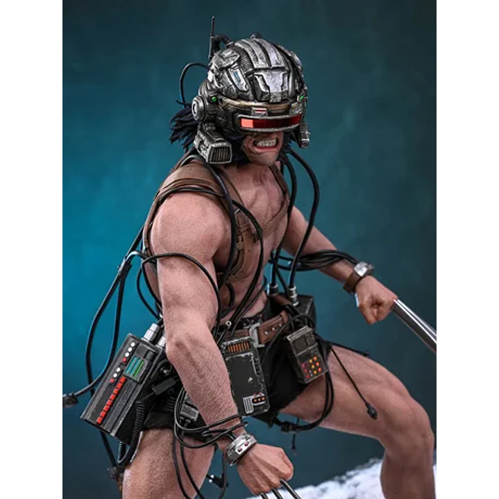 (Pre-Venta) Wolverine Weapon X Hot Toys - MARVEL X-Men 5