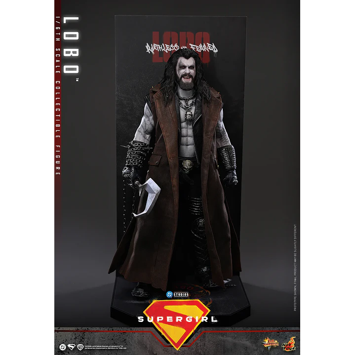 (Pre-Venta) Lobo Hot Toys - Supergirl 12