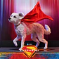 (Pre-Venta) Supergirl & Krypto Hot Toys - Supergirl - Miniatura 5