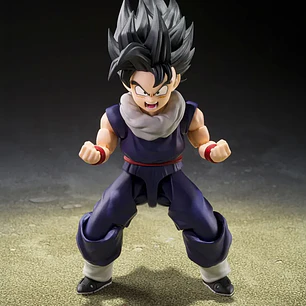 (Pre-Venta) Son Gohan Z-FIGHTERS Ver. (First Press Bonus) S.H. Figuarts - Dragon Ball Z